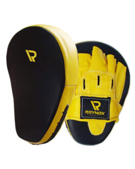 Punching Mitts