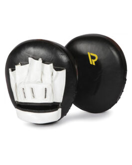 Punching Mitts